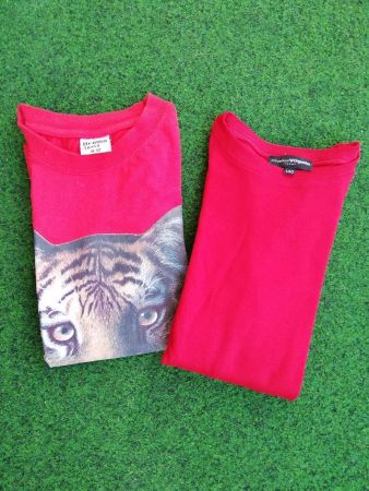 2 Stk. T`shirt,  1x Kurzarm , 1x Langarm